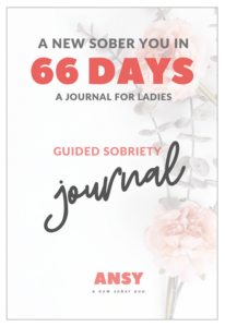 66- Day Journal - A New Sober You