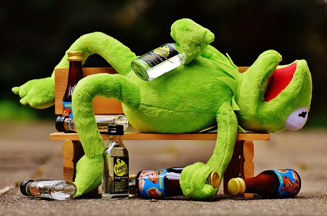 green frog drunk on bench