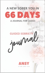 66 Days Journal